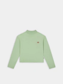 Худи и свитшоты Dickies Mapleton High Neck модель DK0A4Y2JF921 Фото