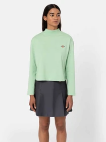 Худи и свитшоты Dickies Mapleton High Neck модель DK0A4Y2JF921 Фото