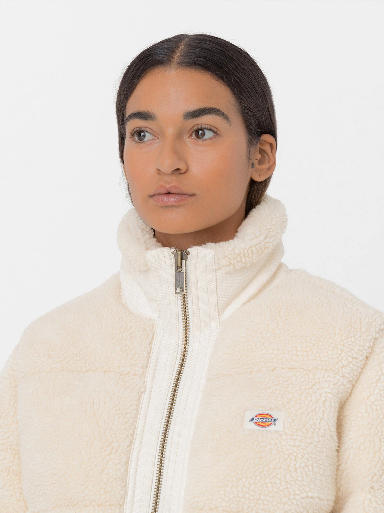 Куртки та дублянки Dickies Mount Hope Puffer модель DK0A4YGYF901 Куртки та дублянки Dickies Mount Hope Puffer модель DK0A4YGYF901 Фото