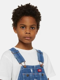 Комбінезони Dickies Denim Bib Overalls модель DK0KB102C7K1 Фото