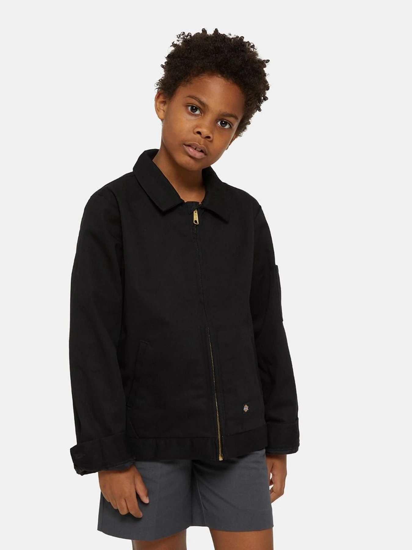 Куртки и дубленки Dickies Lined Eisenhower модель DK0KJ903DCK1 Фото