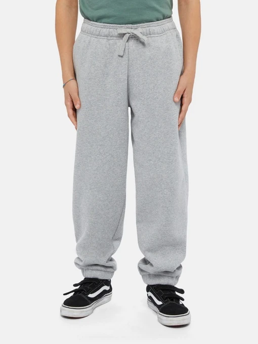 Брюки Dickies Mapleton модель DK0KPE040H21 Фото