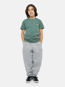 Штани Dickies Mapleton модель DK0KPE040H21 Фото