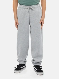 Брюки Dickies Mapleton модель DK0KPE040H21 Фото