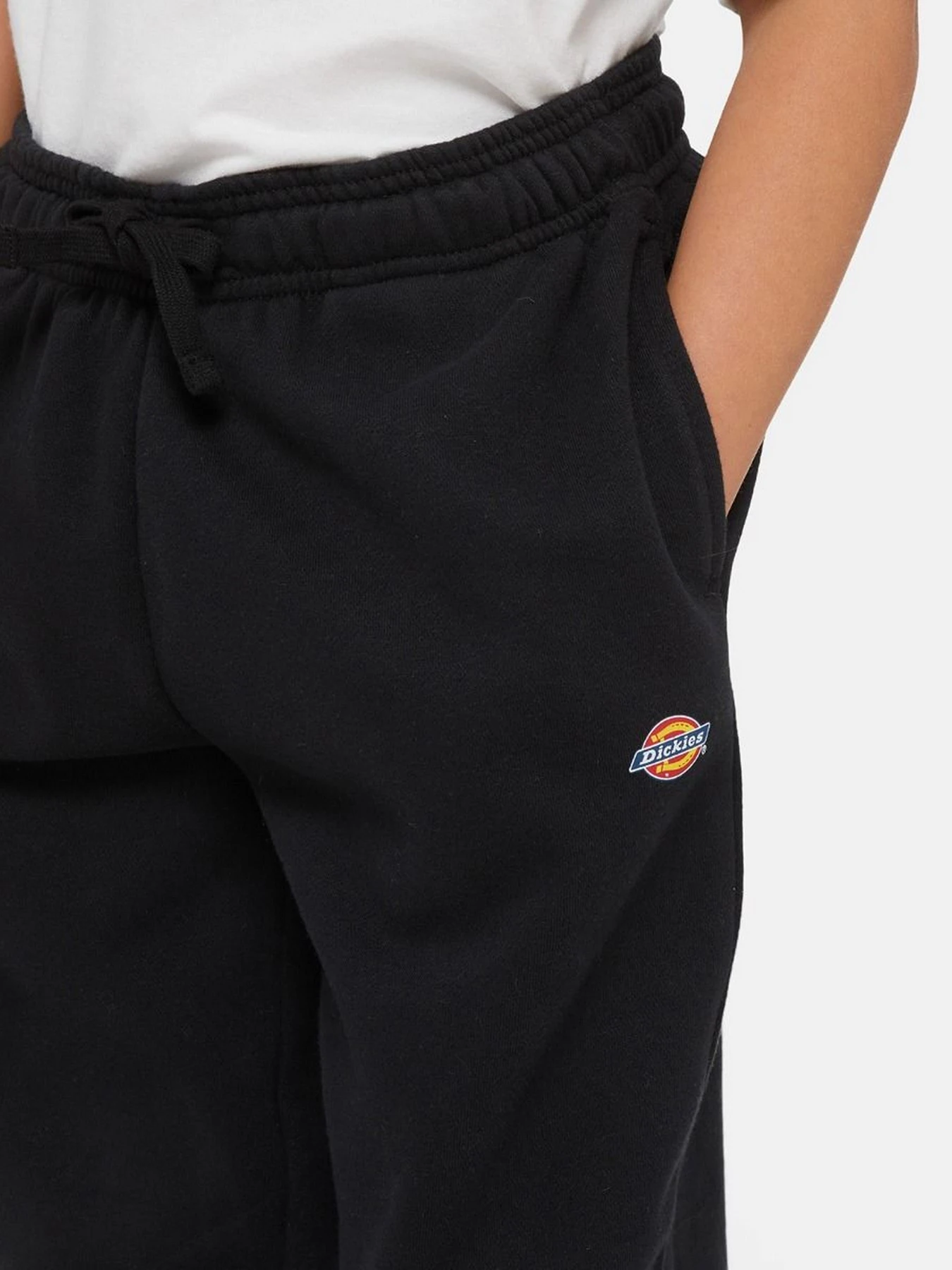 Штани Dickies Mapleton модель DK0KPE04KBK1 Фото