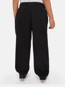 Штани Dickies Mapleton модель DK0KPE04KBK1 Фото
