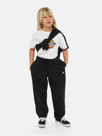 Штани Dickies Mapleton модель DK0KPE04KBK1 Фото