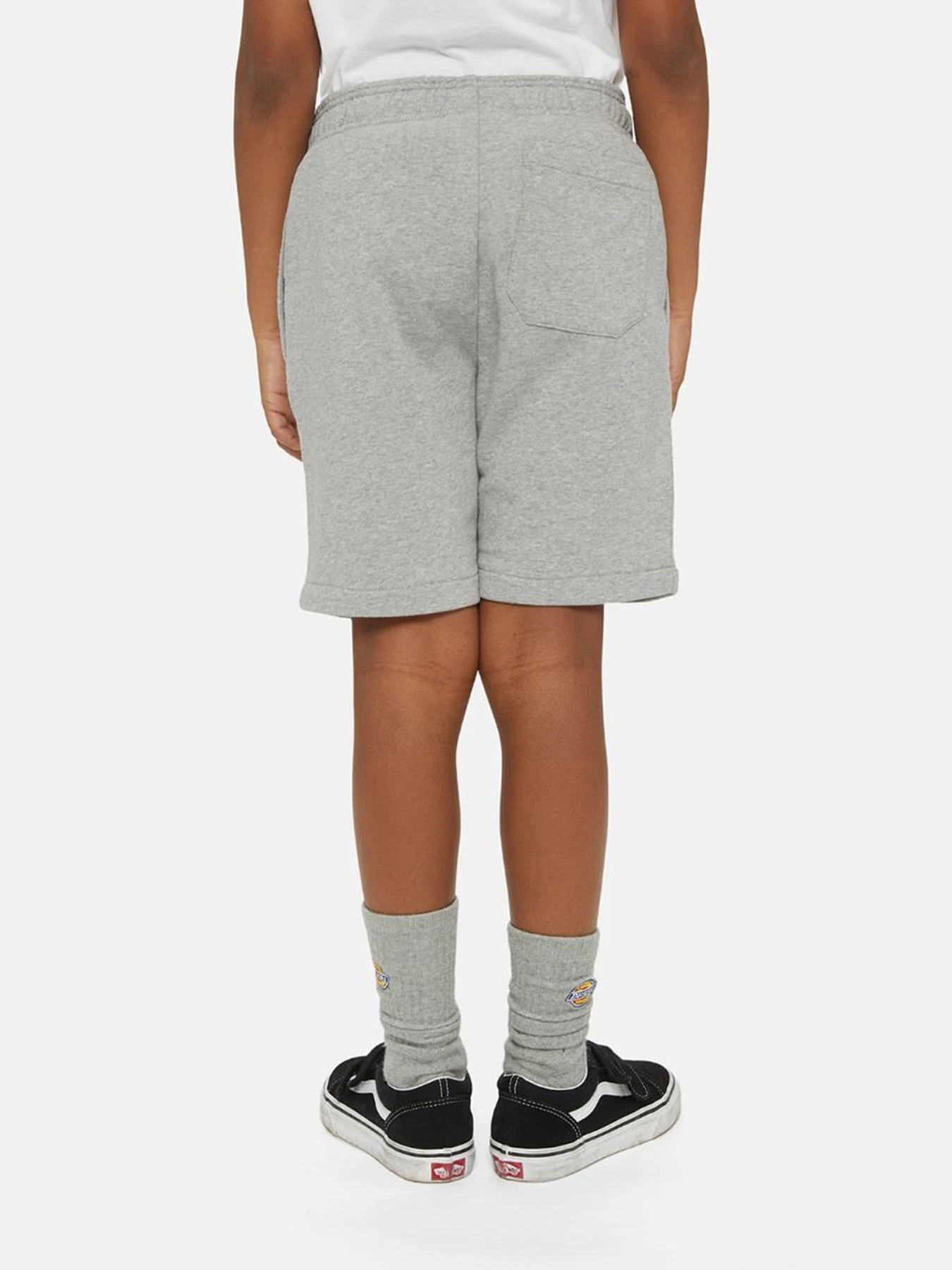 Шорти Dickies Mapleton модель DK0KRR330H21 Фото