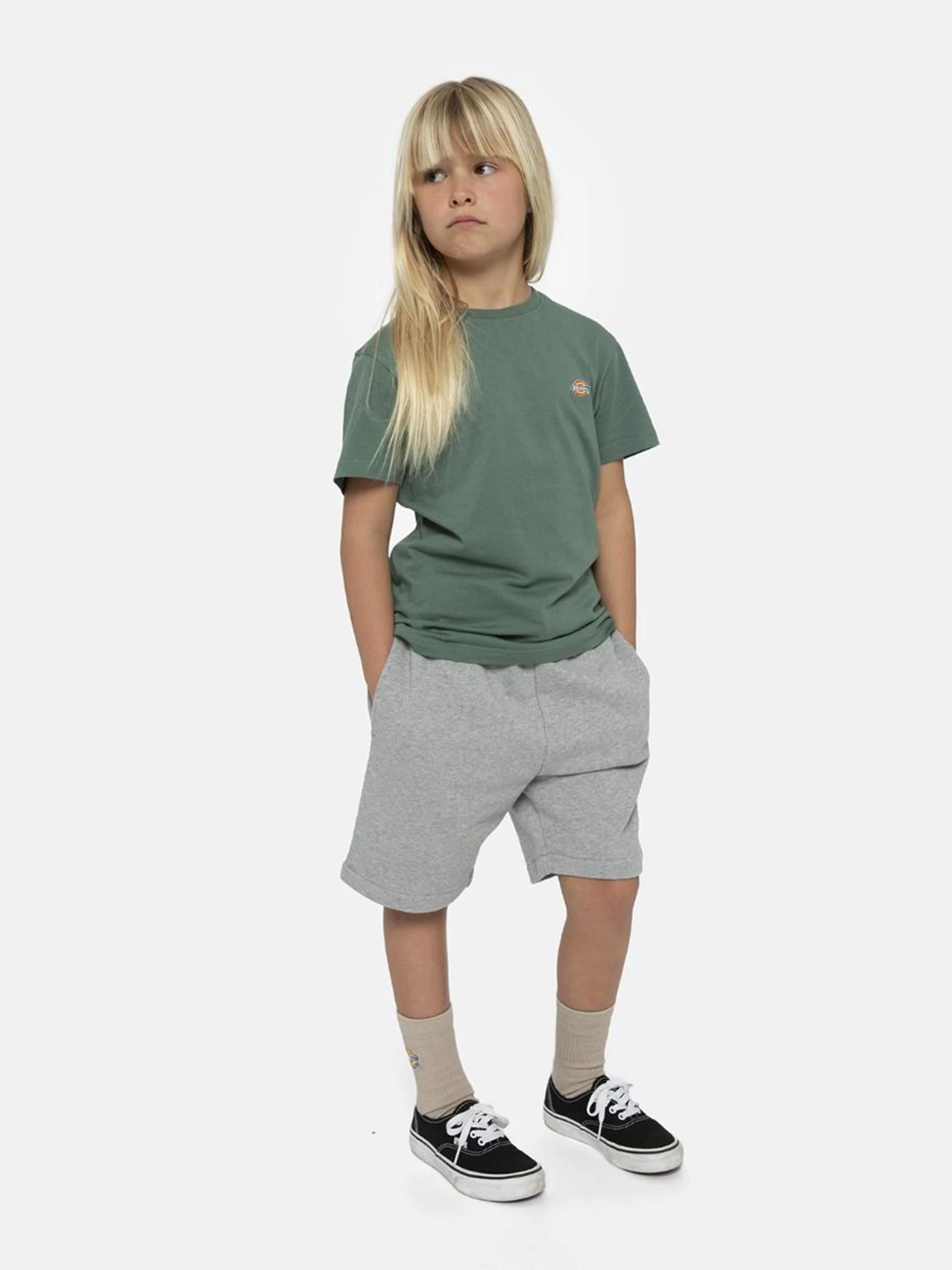 Шорти Dickies Mapleton модель DK0KRR330H21 Фото