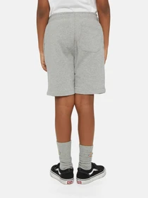 Шорти Dickies Mapleton модель DK0KRR330H21 Фото