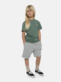 Шорти Dickies Mapleton модель DK0KRR330H21 Фото
