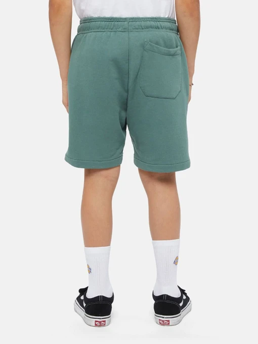 Бавовняні Дитячі Повсякденні шорти Dickies Mapleton фото 2