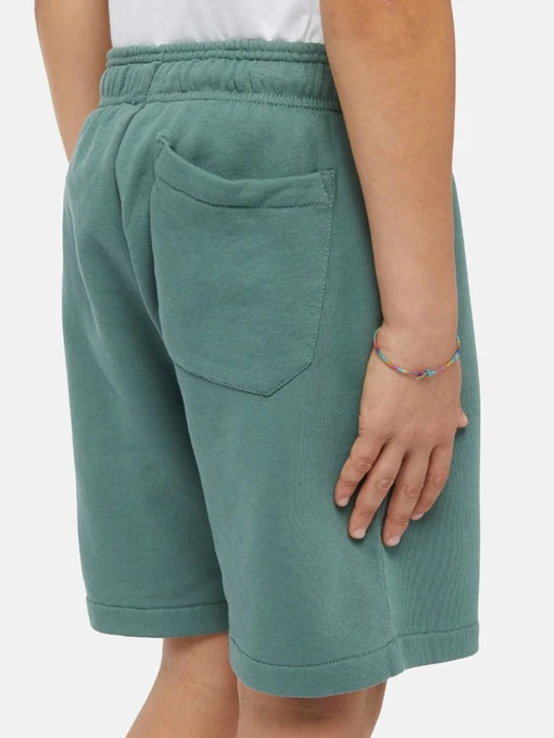 Бавовняні Дитячі Повсякденні шорти Dickies Mapleton фото 3