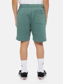 Шорты Dickies Mapleton модель DK0KRR33H151 Фото
