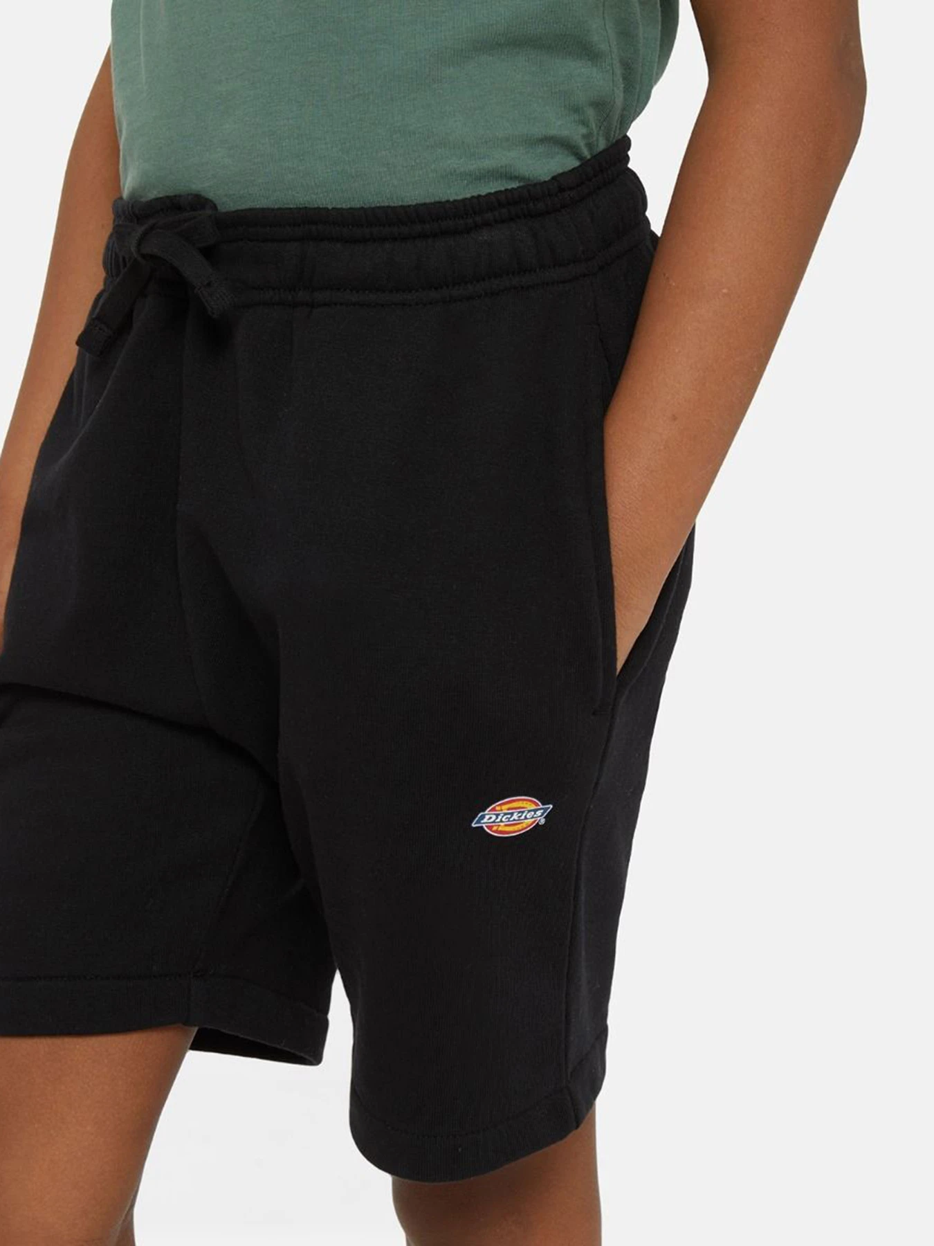 Шорты Dickies Mapleton модель DK0KRR33KBK1 Фото