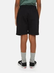 Шорты Dickies Mapleton модель DK0KRR33KBK1 Фото