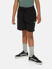 Шорты Dickies Mapleton модель DK0KRR33KBK1 Фото