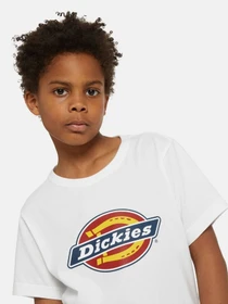 Футболки і поло Dickies Logo модель DK0KSR270WH1 Фото
