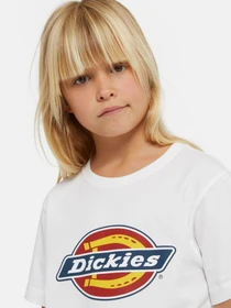 Футболки і поло Dickies Logo модель DK0KSR270WH1 Фото