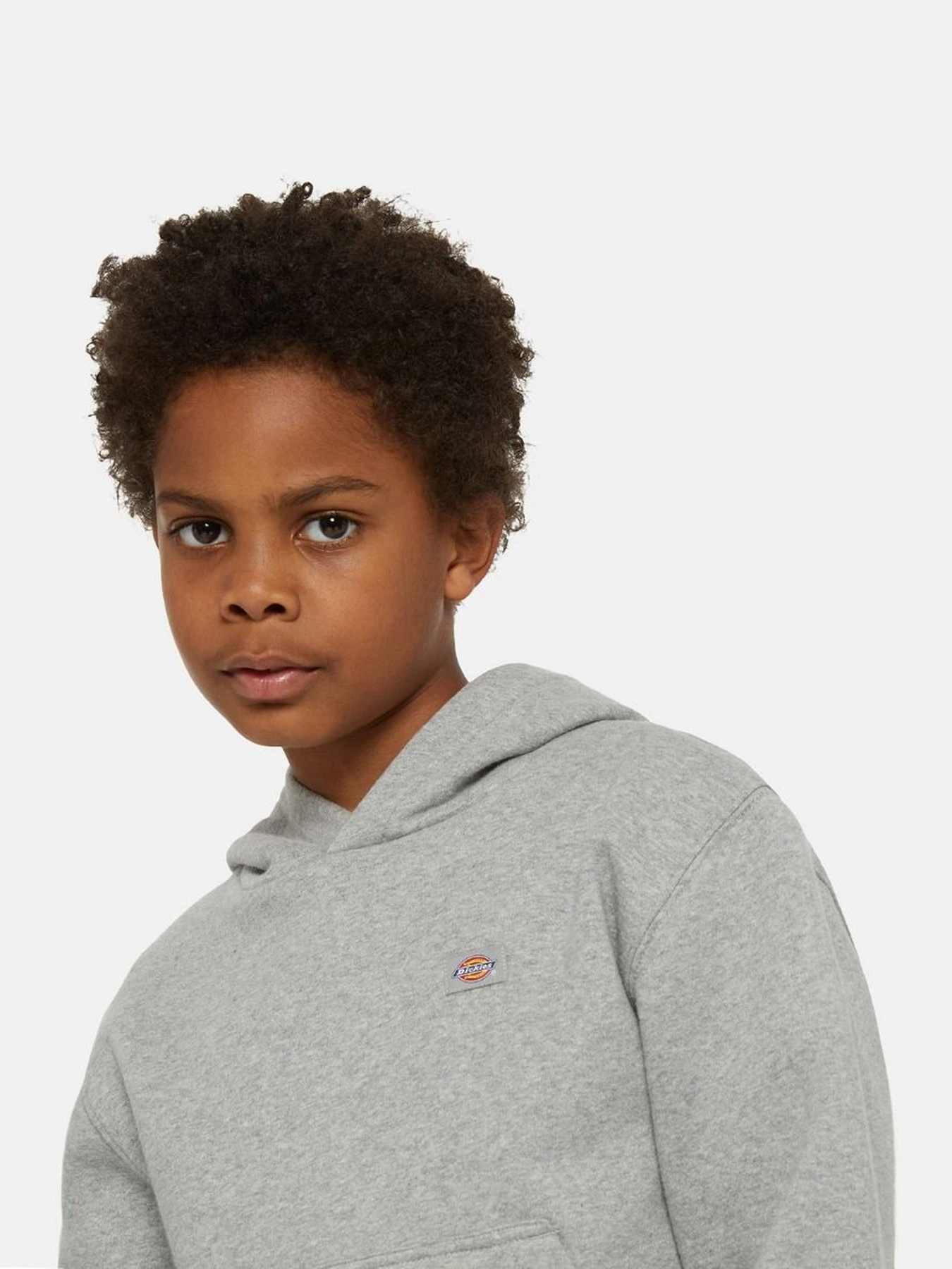 Худи и свитшоты Dickies Oakport модель DK0KWR120H21 Фото