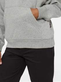 Худи и свитшоты Dickies Oakport модель DK0KWR120H21 Фото