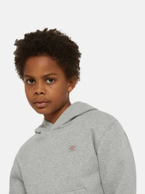 Худи и свитшоты Dickies Oakport модель DK0KWR120H21 Фото