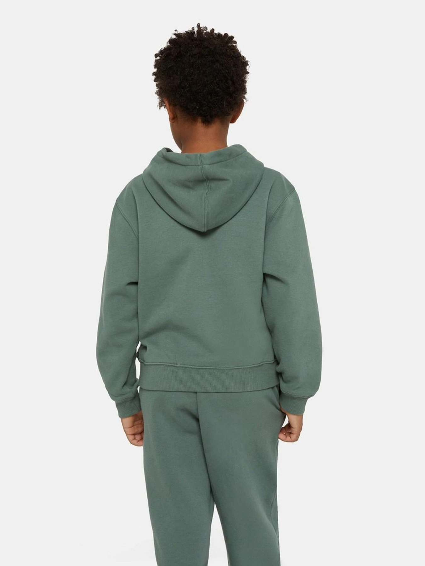 Худи и свитшоты Dickies Oakport модель DK0KWR12H151 Фото