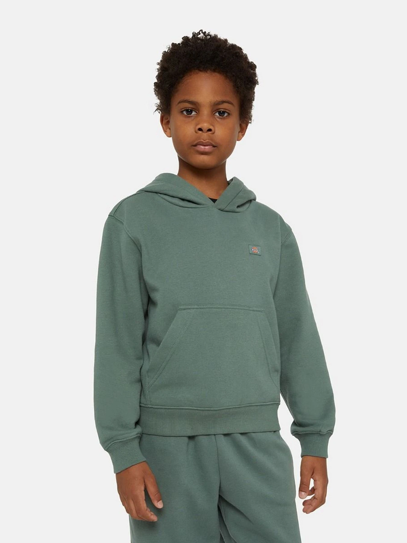 Худи и свитшоты Dickies Oakport модель DK0KWR12H151 Фото