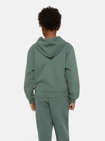 Худи и свитшоты Dickies Oakport модель DK0KWR12H151 Фото