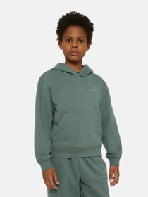 Худи и свитшоты Dickies Oakport модель DK0KWR12H151 Фото