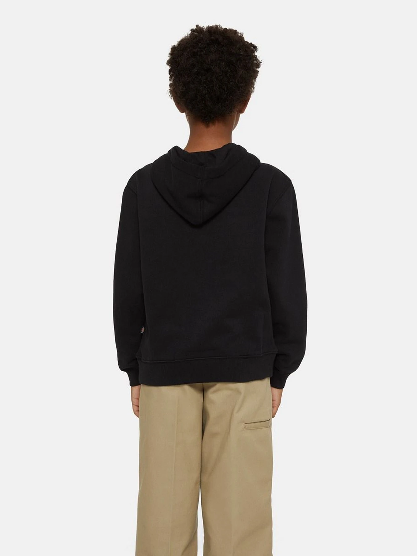 Худи и свитшоты Dickies Oakport модель DK0KWR12KBK1 Фото