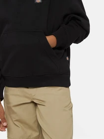 Худи и свитшоты Dickies Oakport модель DK0KWR12KBK1 Фото