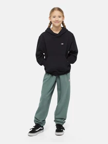 Худи и свитшоты Dickies Oakport модель DK0KWR12KBK1 Фото