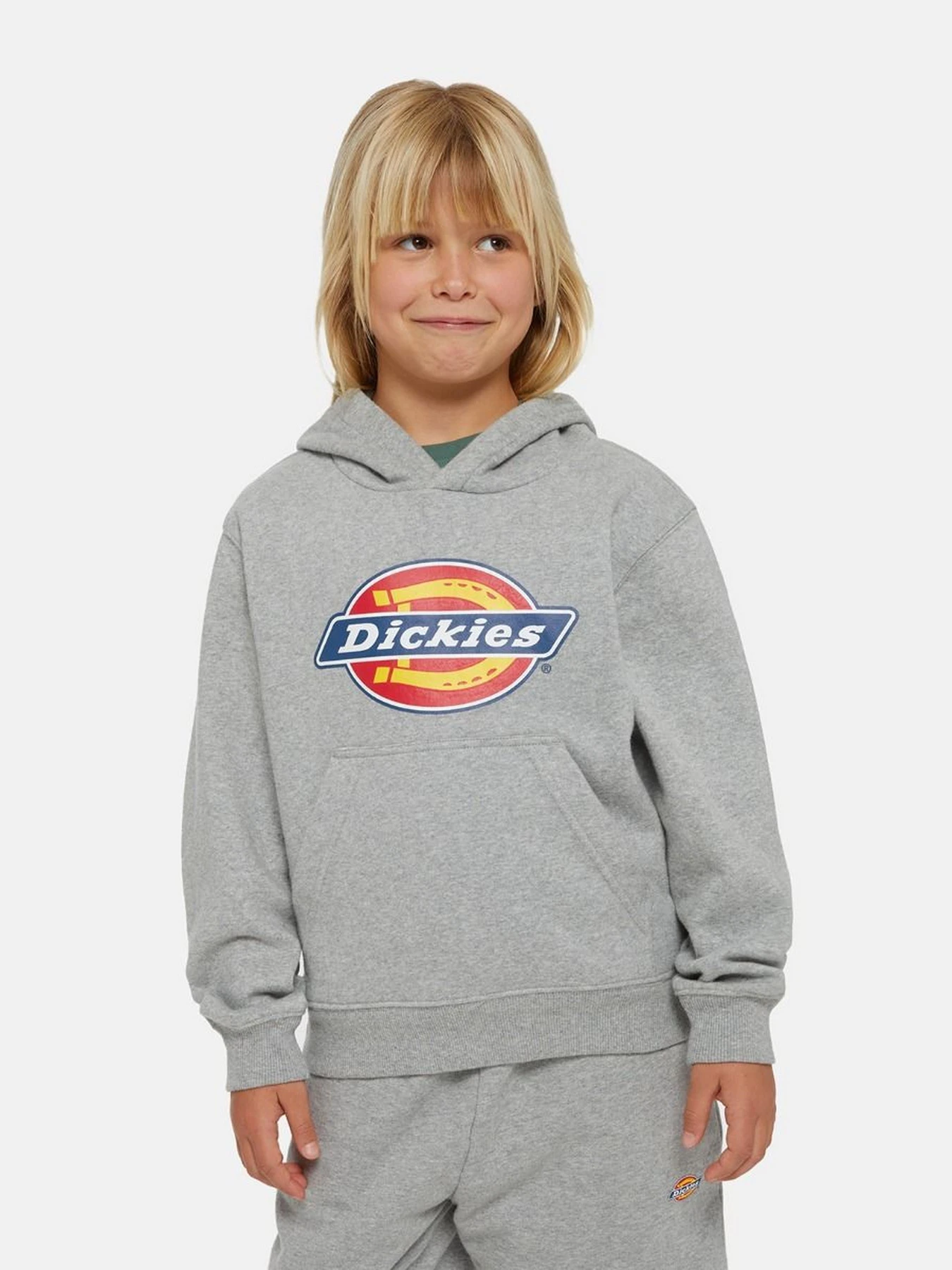 Худи и свитшоты Dickies Icon Logo модель DK0KWR270H21 Фото