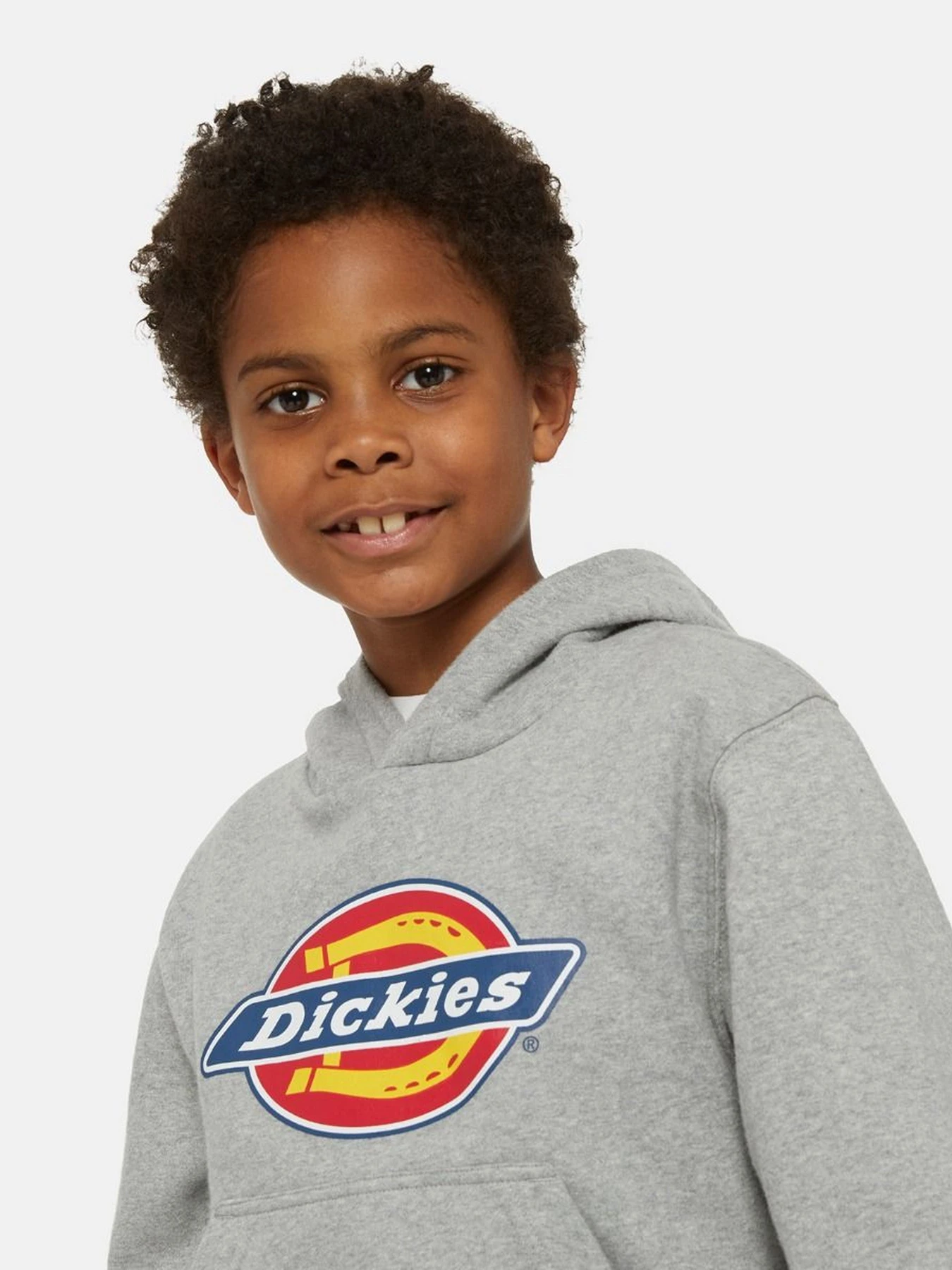 Худи и свитшоты Dickies Icon Logo модель DK0KWR270H21 Фото