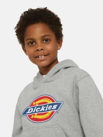 Худи и свитшоты Dickies Icon Logo модель DK0KWR270H21 Фото
