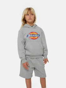 Худи и свитшоты Dickies Icon Logo модель DK0KWR270H21 Фото