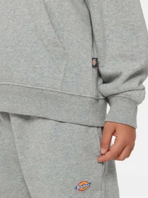 Худи и свитшоты Dickies Icon Logo модель DK0KWR270H21 Фото