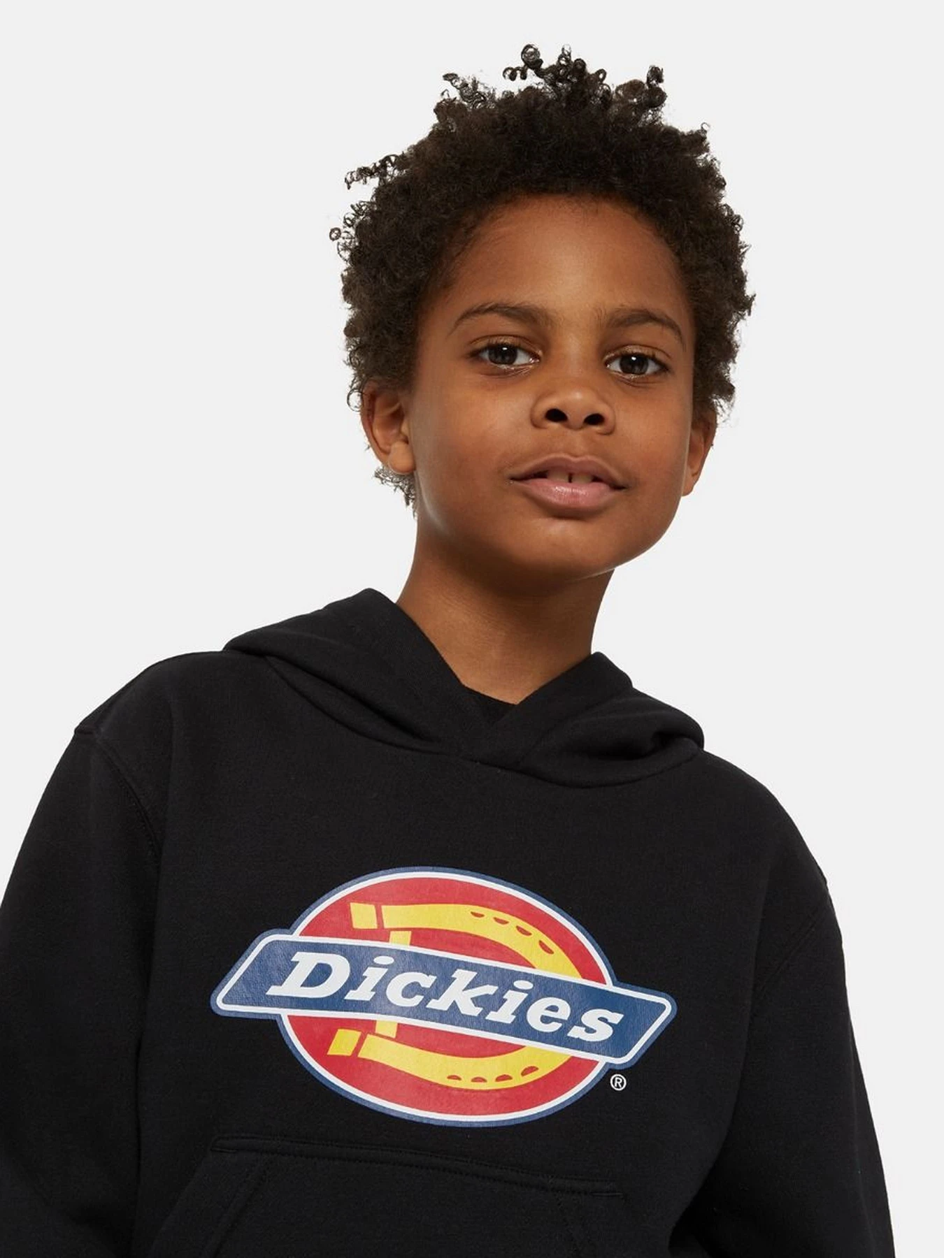 Худі та світшоти Dickies Icon Logo модель DK0KWR27KBK1 Худі та світшоти Dickies Icon Logo модель DK0KWR27KBK1 Фото