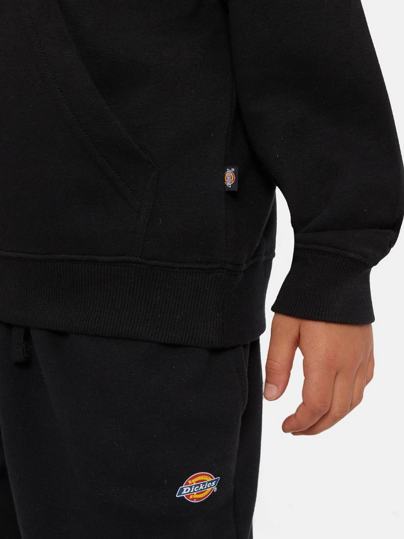 Худі та світшоти Dickies Icon Logo модель DK0KWR27KBK1 Худі та світшоти Dickies Icon Logo модель DK0KWR27KBK1 Фото