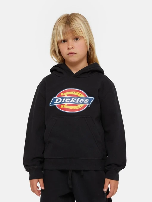 Худі та світшоти Dickies Icon Logo модель DK0KWR27KBK1 Фото