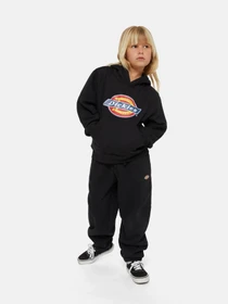 Худі та світшоти Dickies Icon Logo модель DK0KWR27KBK1 Фото