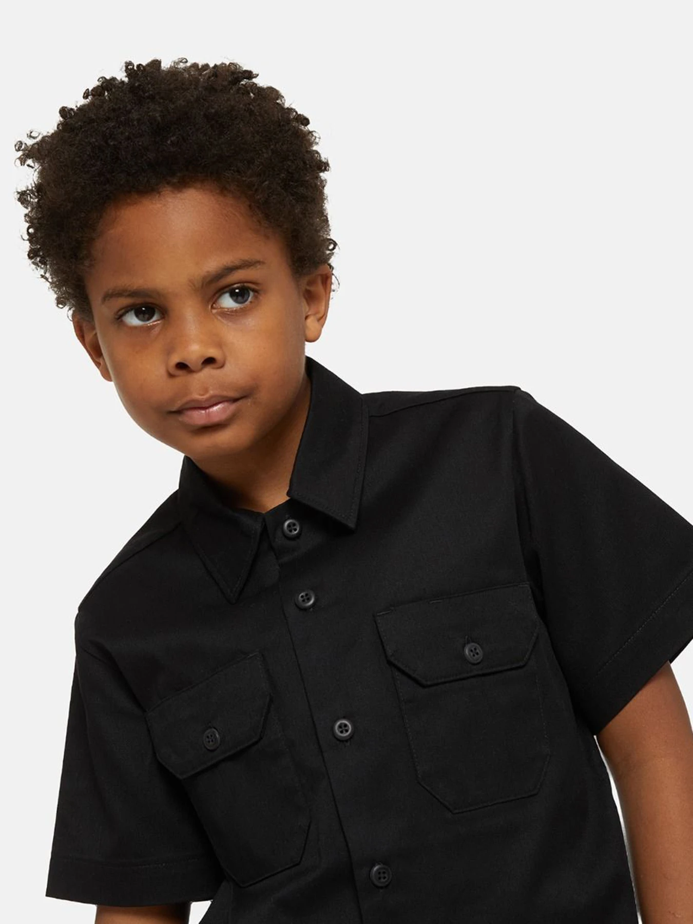 Рубашки Dickies Work модель DK0QS201DCK1 Рубашки Dickies Work модель DK0QS201DCK1 Фото