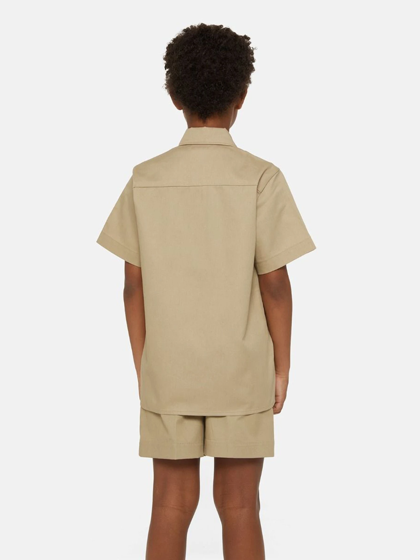 Рубашки Dickies Work модель DK0QS201DSR1 Рубашки Dickies Work модель DK0QS201DSR1 Фото