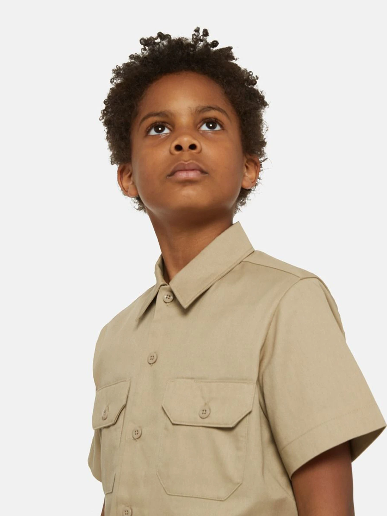 Рубашки Dickies Work модель DK0QS201DSR1 Рубашки Dickies Work модель DK0QS201DSR1 Фото