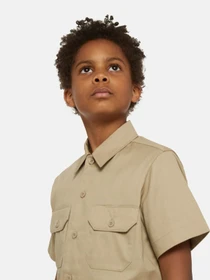 Рубашки Dickies Work модель DK0QS201DSR1 Фото