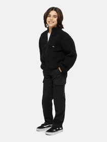 Брюки Dickies Millerville модель DK0A4Z3SBLK1 Фото