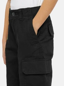 Брюки Dickies Millerville модель DK0A4Z3SBLK1 Фото