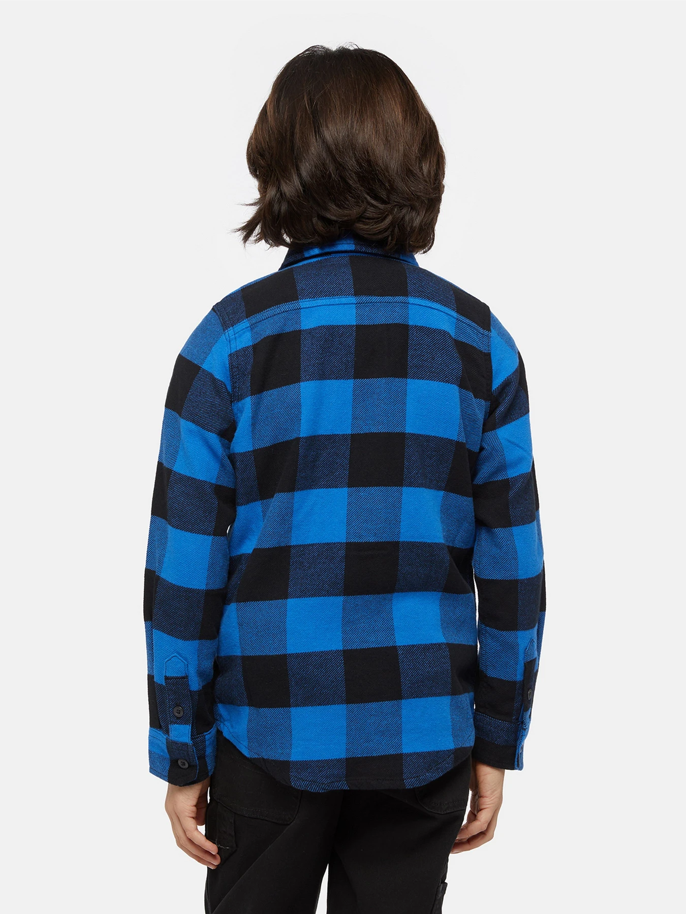 Рубашки Dickies Kids Sacramento модель DK0A4Z3UJ531 Рубашки Dickies Kids Sacramento модель DK0A4Z3UJ531 Фото