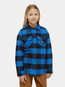 Рубашки Dickies Kids Sacramento модель DK0A4Z3UJ531 Фото